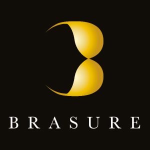 logo Brasure, a sextoy hidden in a bra