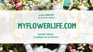 Logo de la startup MY FLOWER LIFE