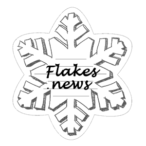Logo de la startup Flakes News