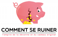 Logo de la startup CommentSeRuiner