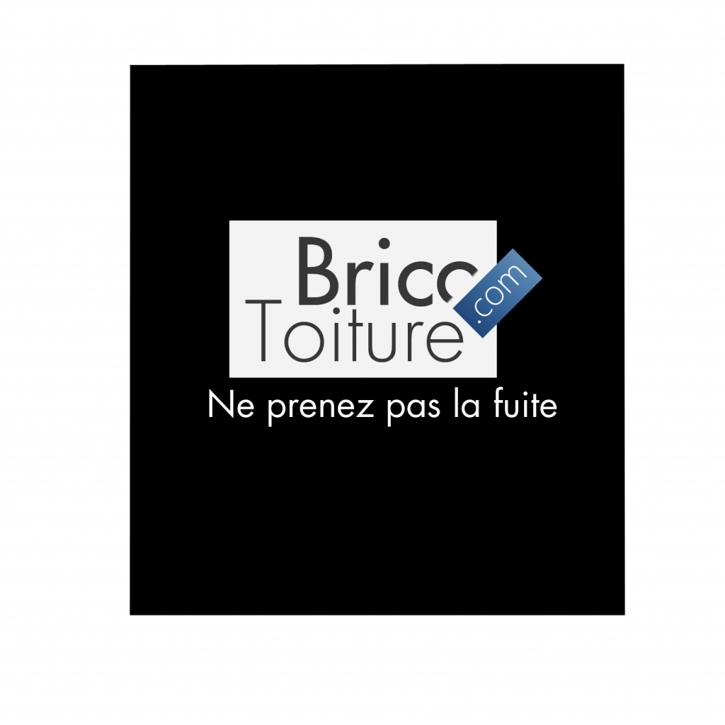 Logo de la startup Brico-Toiture