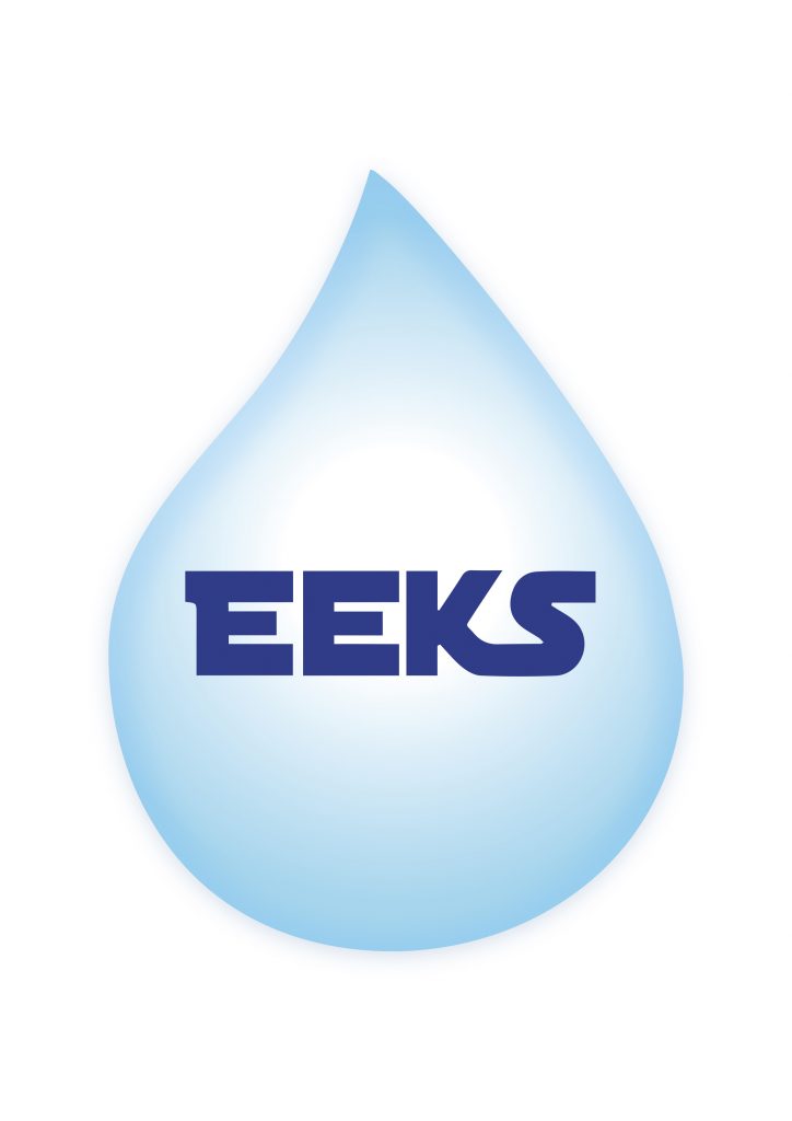 Logo de la startup eeks