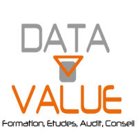 Logo de la startup DATA VALUE