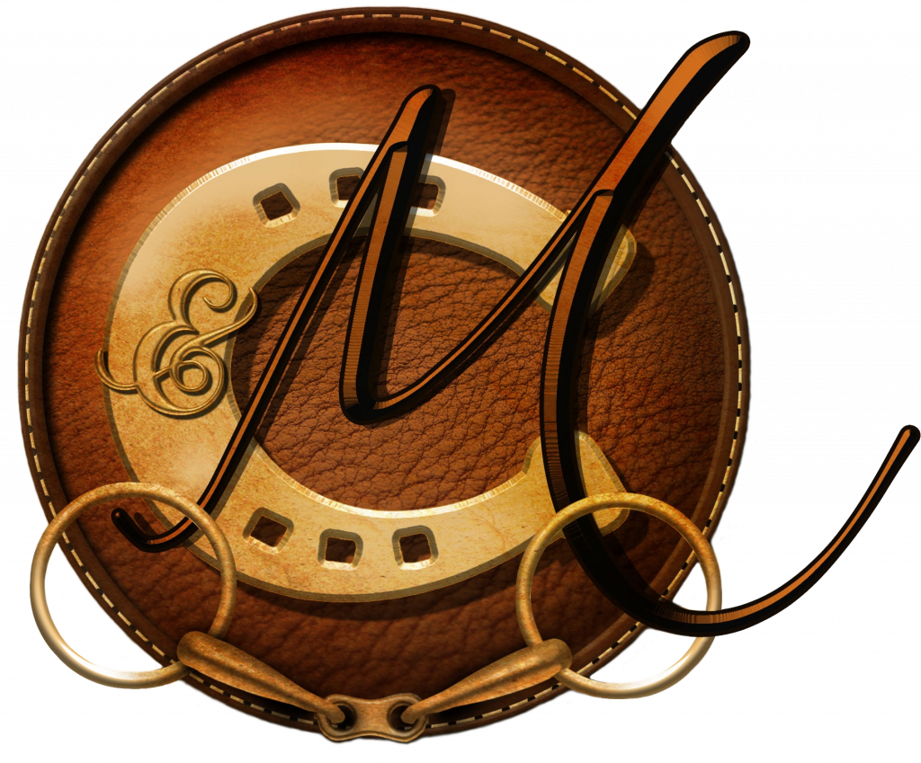Logo de la startup cheval et moi