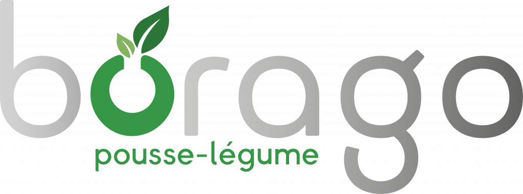 Logo de la startup Borago