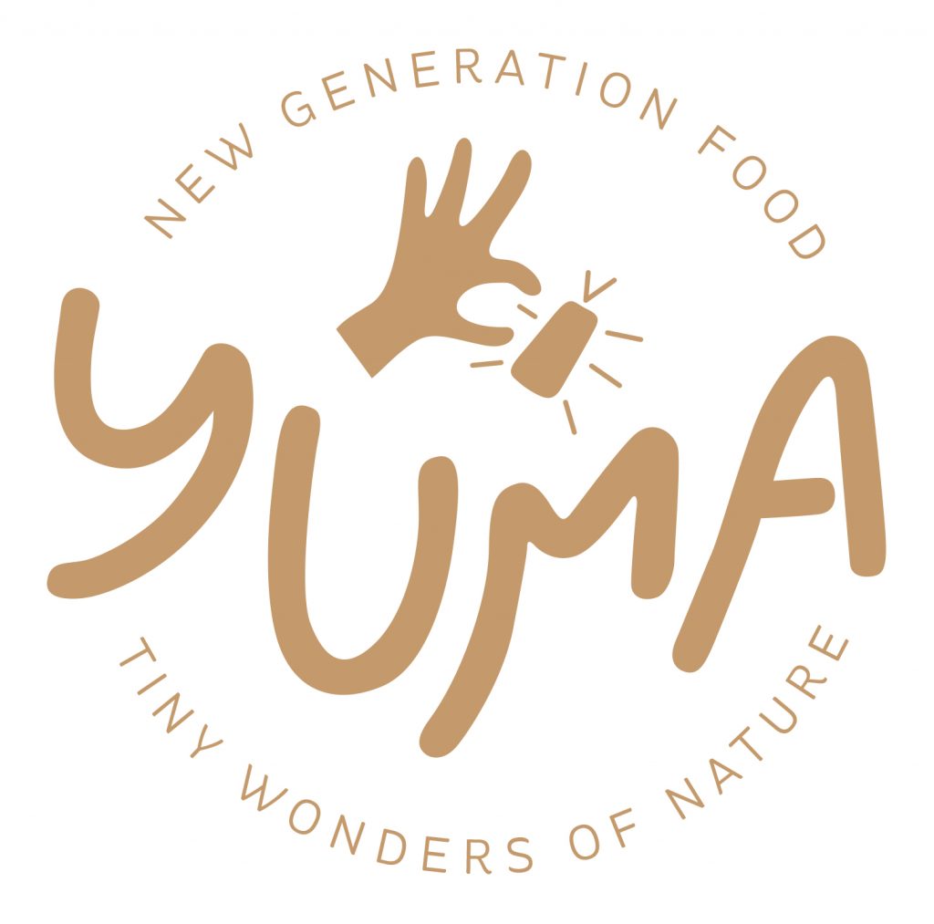 Logo de la startup