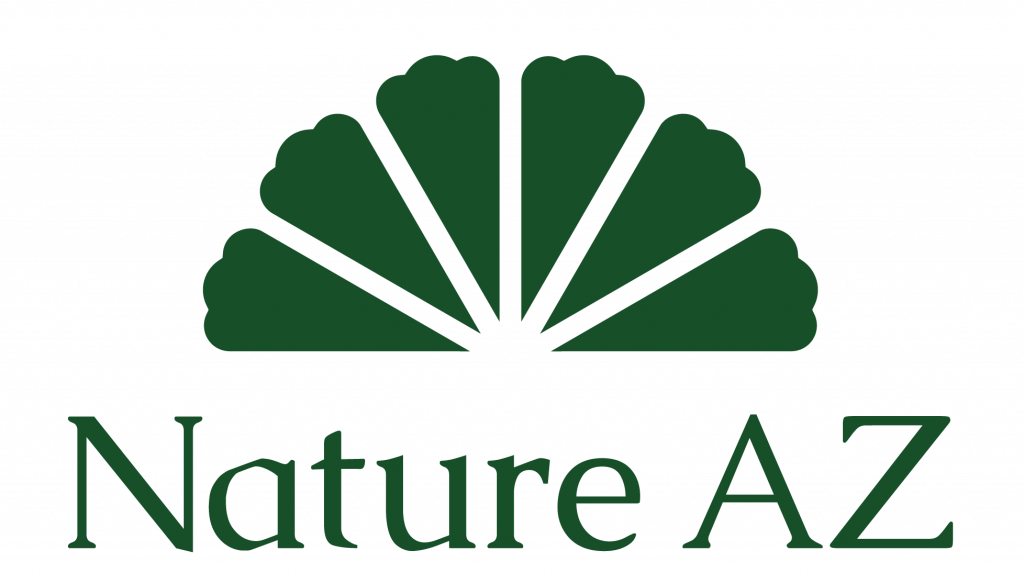 Logo de la startup