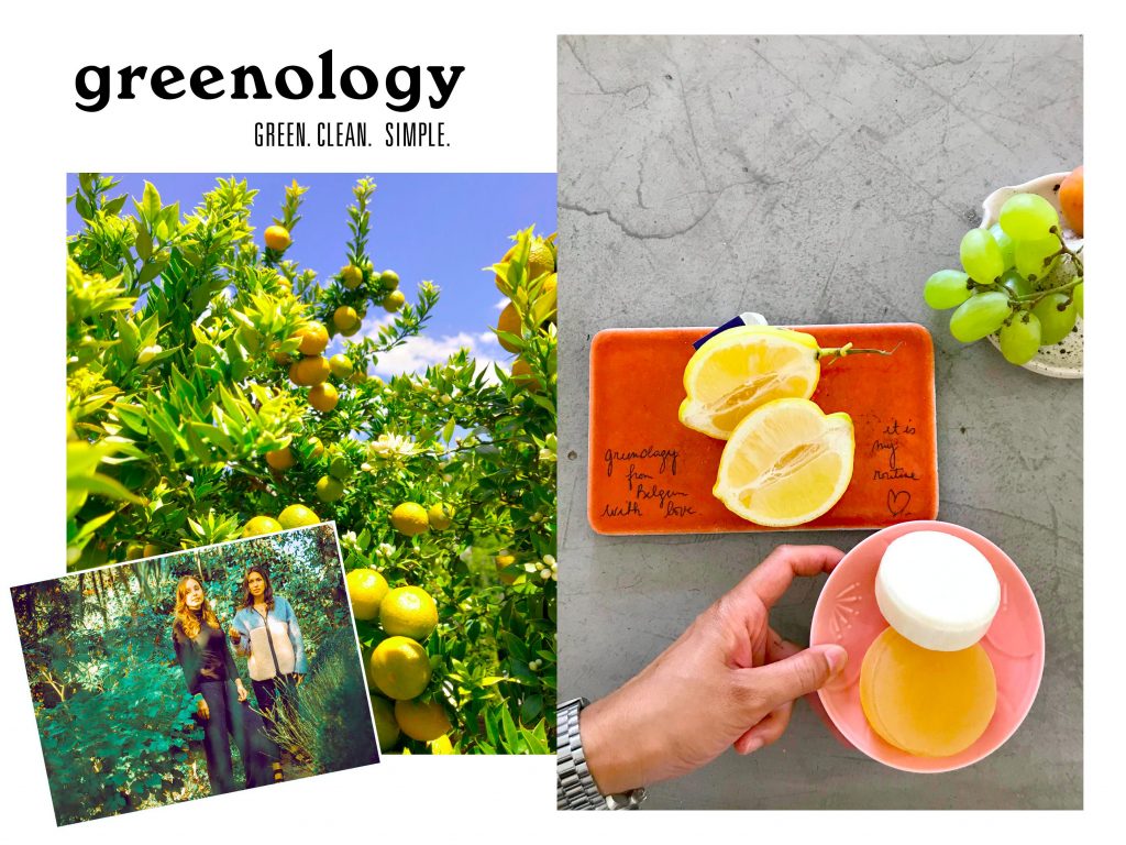 Logo de la startup greenology